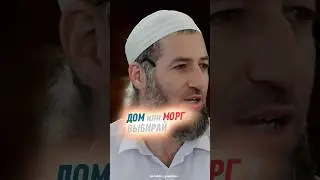 ДОМ ИЛИ МОРГ ВЫБИРАЙ! 