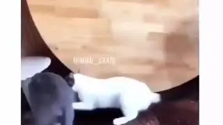 ЗА РЕБЁНКА ПАСТЬ ПОРВУ!
