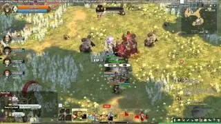 Tree of Savior killing pantos