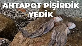 YAKALADIĞIMIZ AHTAPOTLARI PİŞİRDİK -  Ahtapot Pişirme Vlog - 29