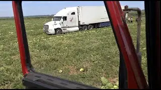 Арбуз транс всей семьёй)!
