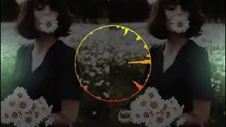 DASHI - Ромашки (Steel Alex Remix)
