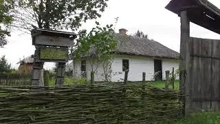 Поездка в музей. Рокини.