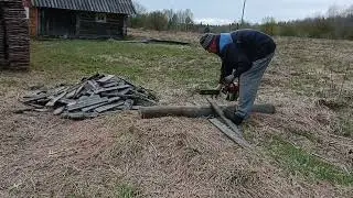Купили новые саженцы.
