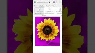 Excel als Photoshop Alternative einsetzen #excel #office365