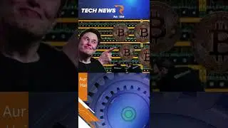 Elon Musk Reveals His Top 3 Crypto Investments 