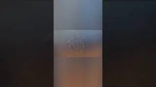 Standoff 2 open case