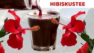 Wer 1 Glas Hibiskustee trinkt, lebt | Was sind die Vor- und Nachteile von Hibiskustee?