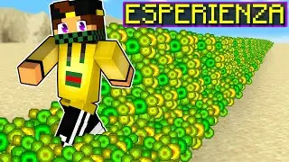 MINECRAFT MA TUTTO QUELLO CHE TOCCO DIVENTA ESPERIENZA