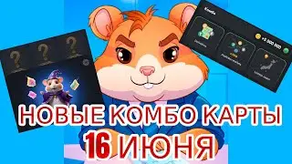 16 июня новое комбо Хамстер Комбат | 5000000 МОНЕТ НА БАЛАНС HAMSTER KOMBAT комбо карты 16.06