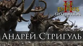 Андрей Стригуль и Кузьма - Age of Empires II