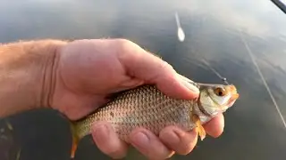 Fishing with a bombarda on silicone