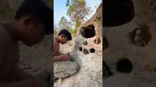 Wow  parrot in underground Part  04 #shorts #shortvideo #wildlife