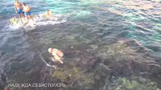 Севастополь  ГОЛУБАЯ БУХТА   август 2015
