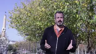La ecoansiedad NOV 2020
