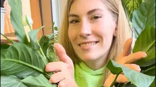 А что же сажать в АПРЕЛЕ?Да всё! Всё, что покажу и расскажу вам в этом видео 🍀