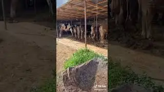 Жизненно 😂😂