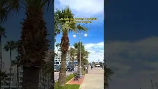 Jak tanio dotrzeć z lotniska do centrum Larnaki? #shortsvideo #cypr #larnaka #airport #transport