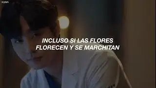 Doyoung - "Beautiful Day" (Dr. Romantic OST part.3) | SUB. ESPAÑOL