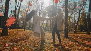 [No plugin template] 散りゆく紅葉 風に舞う / Maple trees are falling and petals dancing in the wind.