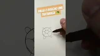 dalla o disegno una tartaruga