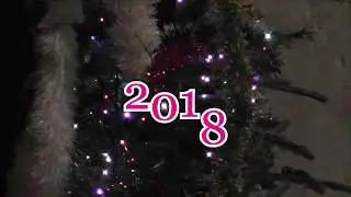 КАМО АМАНОР 2018