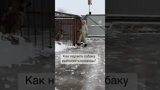 На самом деле он обучен. 