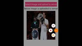 Upload image To Server In Android Using Multipart Volley