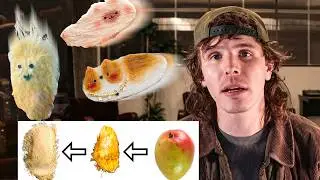 I Turned a Mango Seed in to Something Wonderful (Mango Pet)