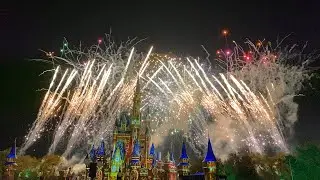 The BEST FIREWORKS you will EVER SEE __ Magic Kingdom