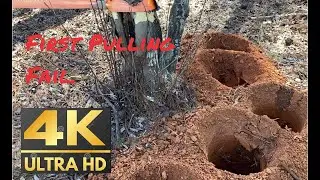 #12 Stump/Tree Pulling FAIL with snatch block pulleys 5:1 Mechanical Advantage [4K 60FPS]