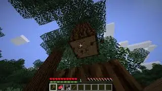 Minecraft survival! 1.16