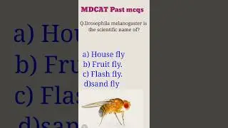#mdcatmcqs #mdcatentrytest #mdcatpastpapers #mdcat2024 #2024shorts / afnstestmcqs / kmucat test mcqs