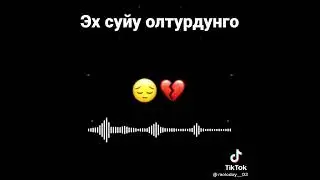 Жонле айтканында тушунмокмун кыйнабай