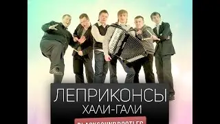 Леприконсы хали гали паратрупер (кавер на гитаре)