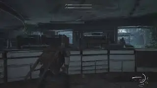 TLOU2 - Tommy