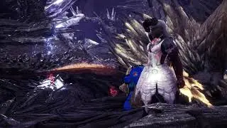 When es tu decimo Nergigante del día :v