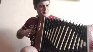 Обзор гармони Чайка 2