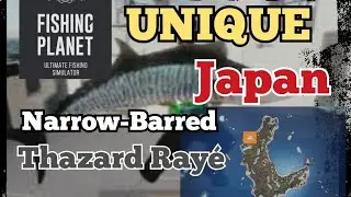 UNIQUE - narrow-barred mackerel - thazard rayé - JAPAN