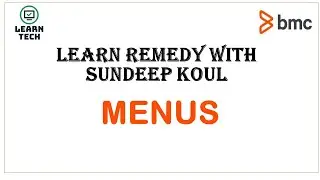 BMC Remedy Menus | File | SQL | Search | Field Data | Form Data | License Menu
