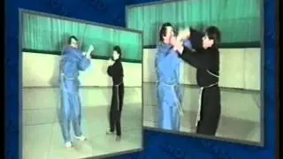 Техника Шоу Дао 7