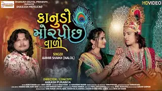 Kanudo Mor Pinchh Vaaro | Aamir Shaikh | કાનુડો મોરપીંછ વાળો | Krishna HD Video | Kanudo Song 2021