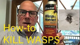 How-to Kill Wasps and Easy Wasp Nest Removal with a Broom!