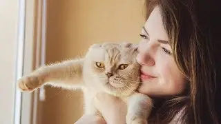 Why Cats Headbutt, And Should You Headbutt Them Back?
