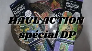 HAUL ACTION special DP