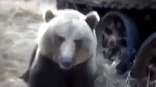 ВОЛК на BMW - Вахтовики