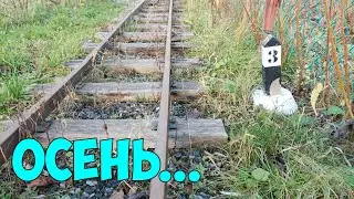 Осень на дачной железной дороге.