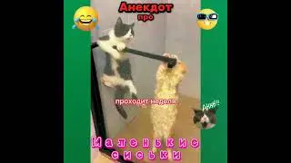 Анекдот про маленькие сиськи. 