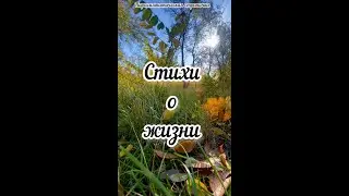 Стихи о жизни 