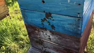 Swarms don't work part 2.